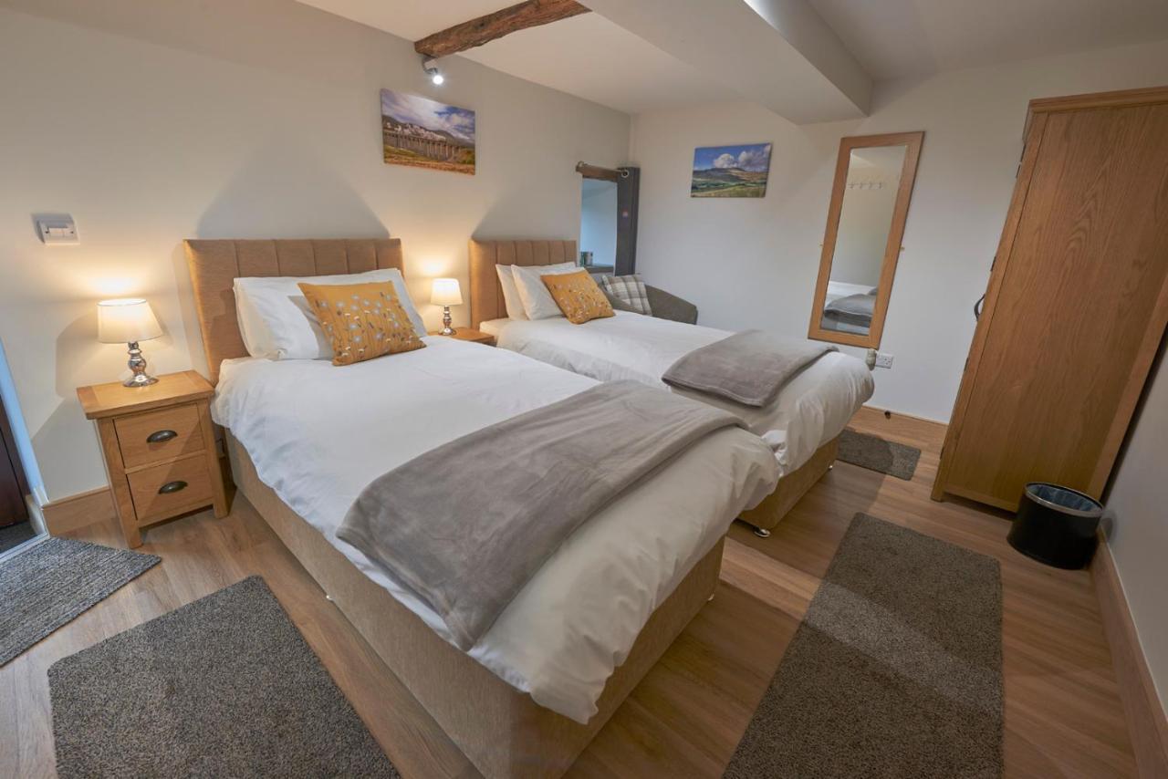 Deluxe Double or Twin Room Mountain View
