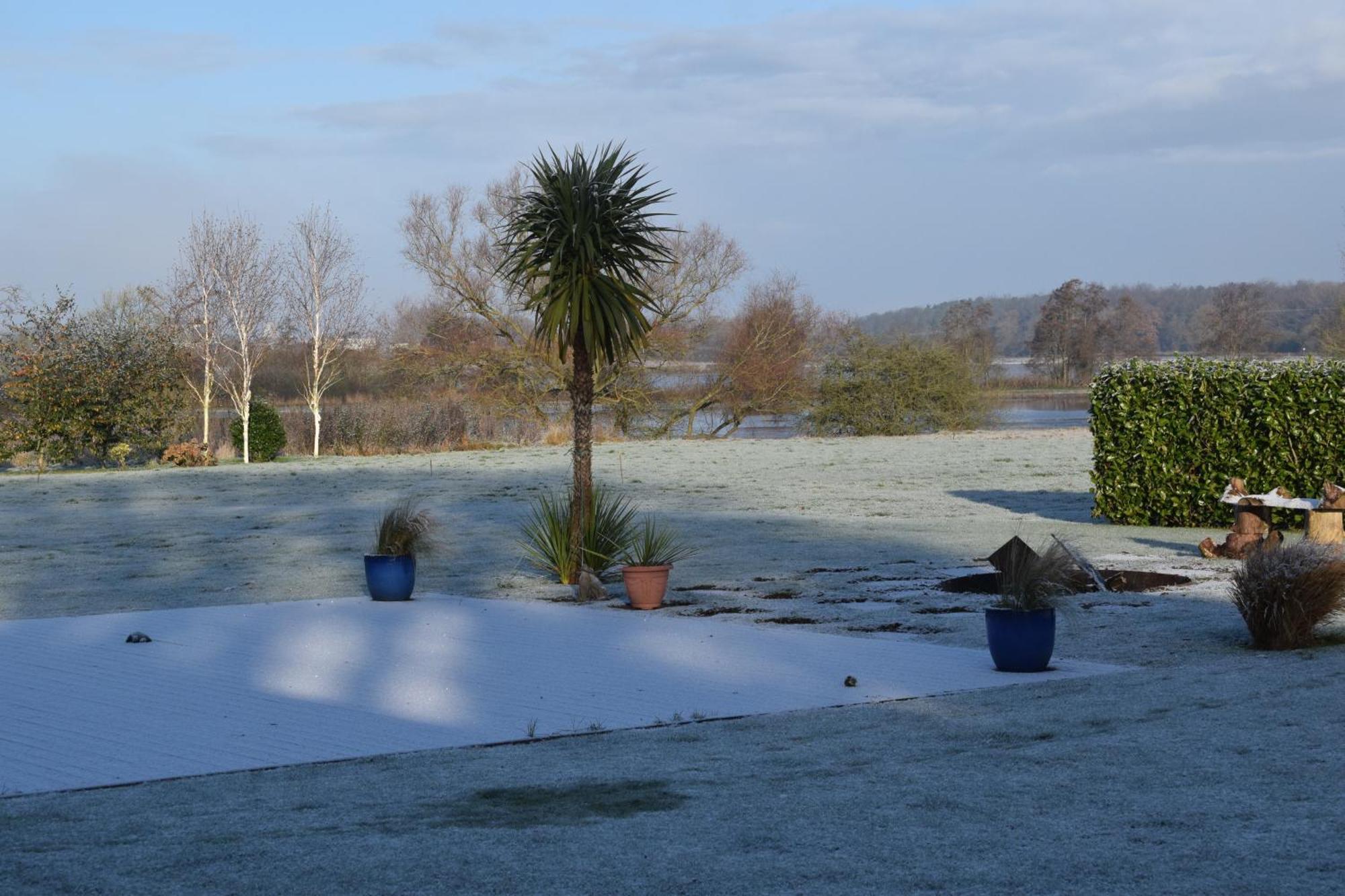 King Room Garden View