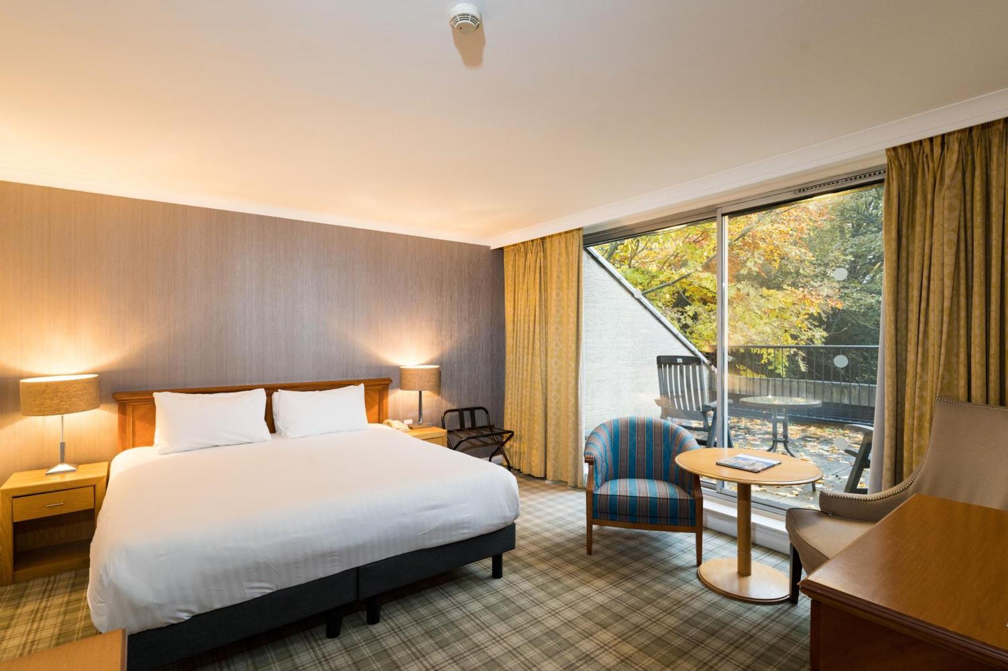 Superior King Suite