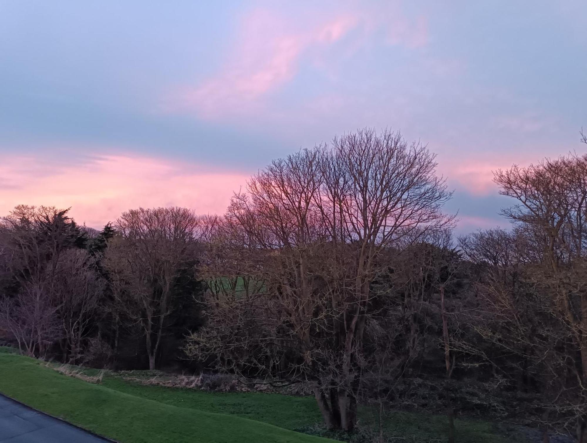 Double Room Garden View