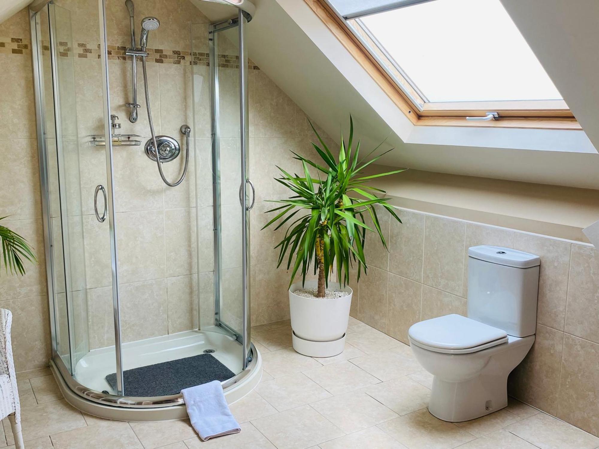 Deluxe Double Room Shower