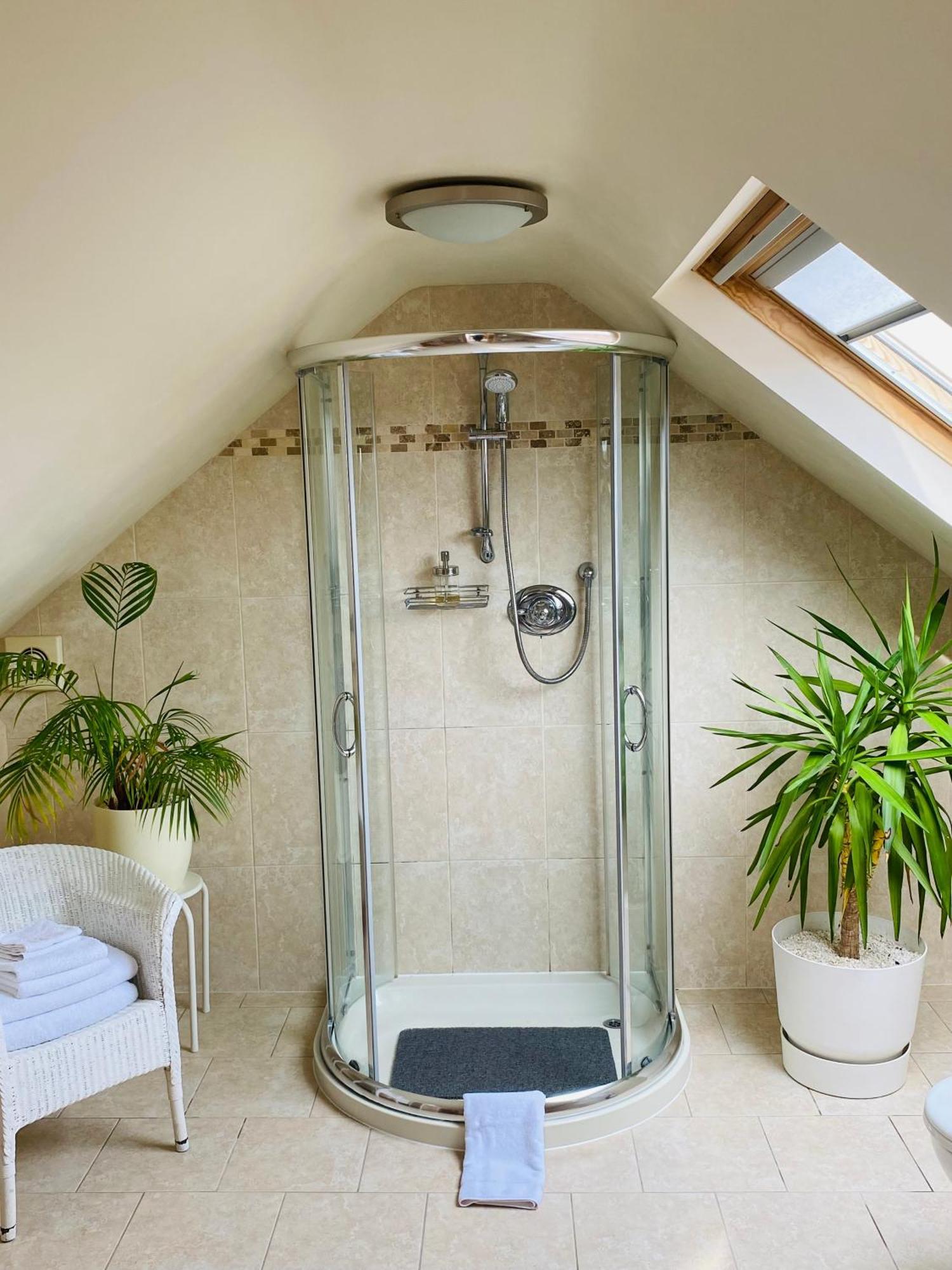Deluxe Double Room Shower