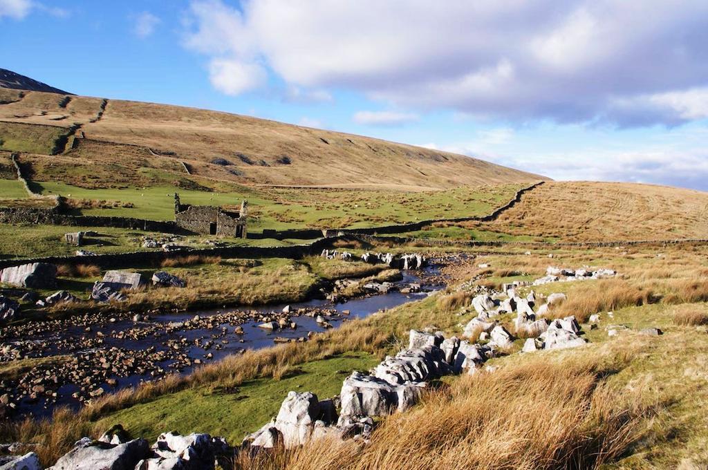 Superior Double or Twin Room,1263375133:JPEG