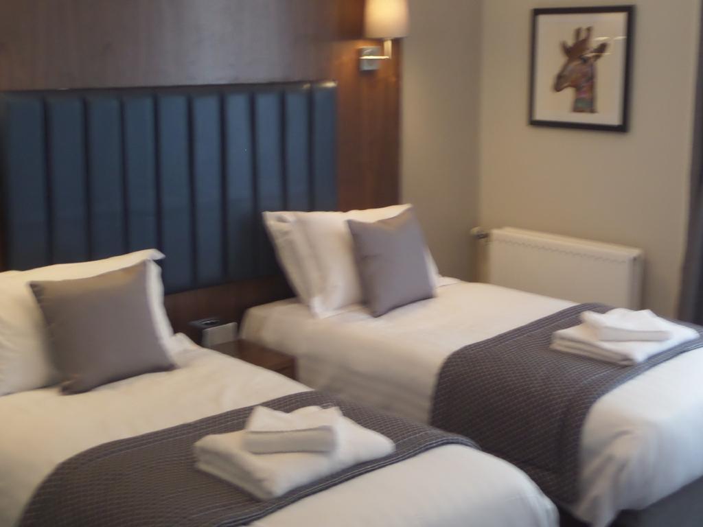 Standard Twin Room,609851356:JPEG