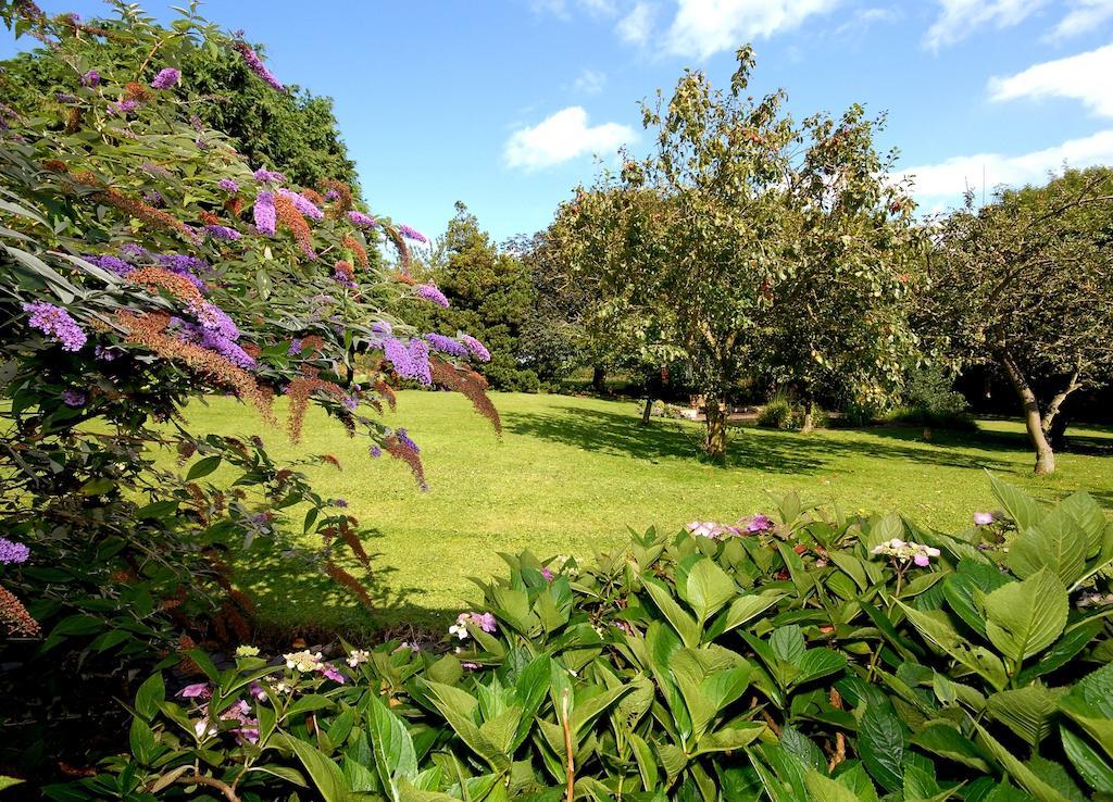 Premier Twin Room Garden View