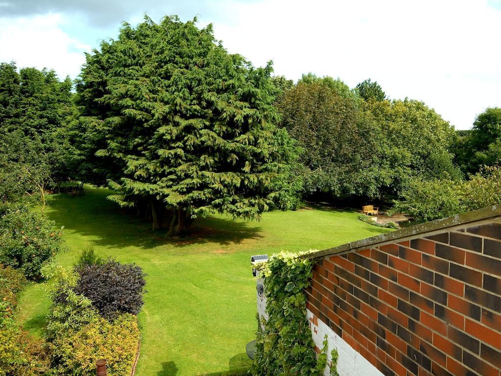 Classic Twin Room Garden View
