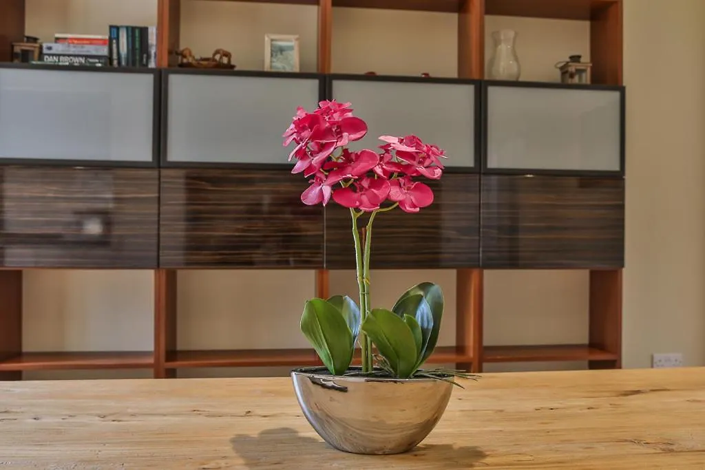 Refurbished Central Premium Property-1