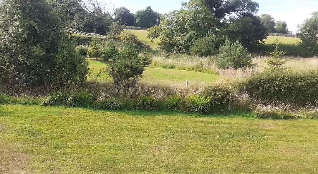 Meadowsweet @ Laneside-1