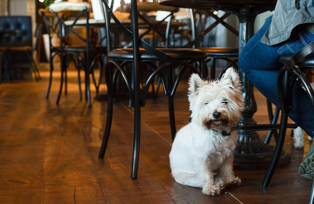 The Northallerton Inn - The Inn Collection Group-1