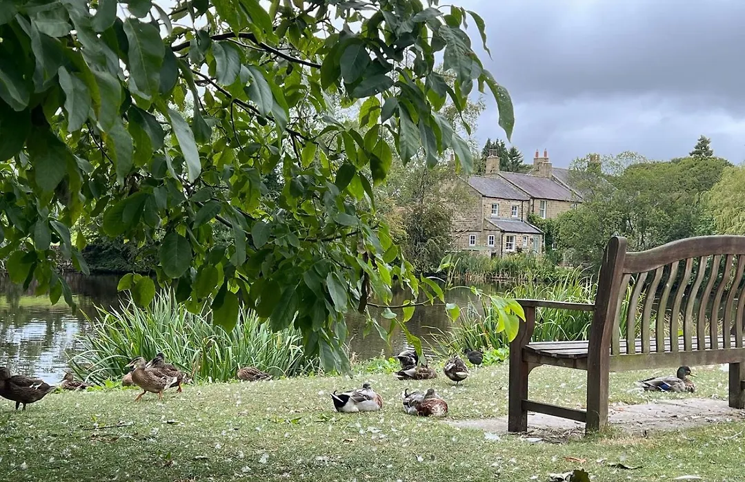 Orchard Cottage-1