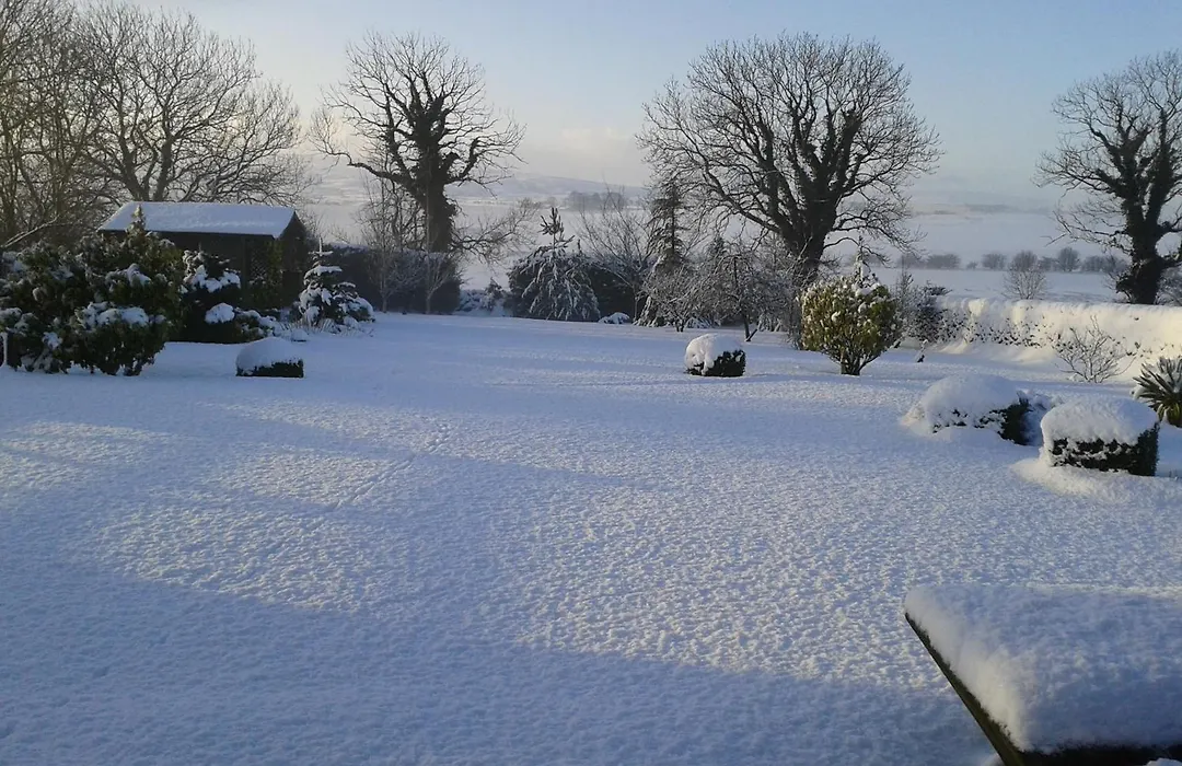 Moor View-1