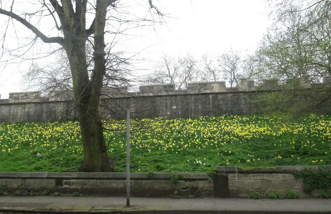 Victoria Bar Apartments Within The City Walls Free Parking-1