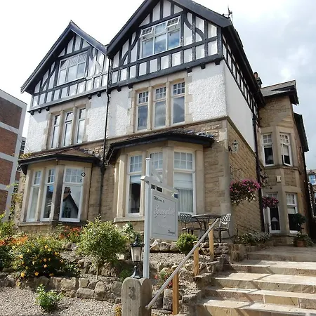 Springdale Guest House-2