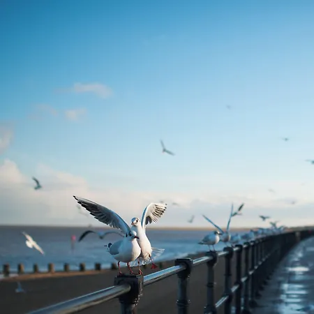 Holiday Inn Express Grimsby By Ihg-2