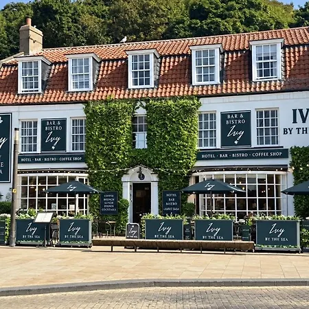 Ivy By The Sea-2