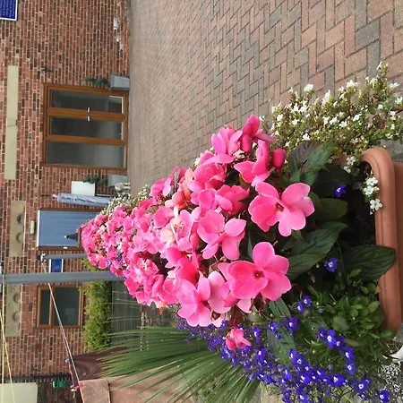 Tower House Executive Guest House-3