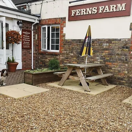 Ferns Hotel/Palms Leisure-2