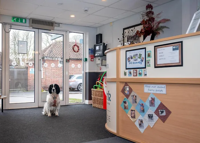 Hostels in York