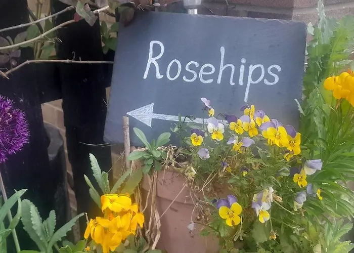 Haustierfreundliches Ferienwohnung Rosehips At Kerensa, Naburn York
