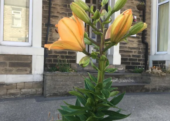 Highfield Guesthouse Skipton